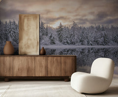Serene Winter Reflection