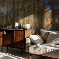 Autumn Sunlit Birch Forest