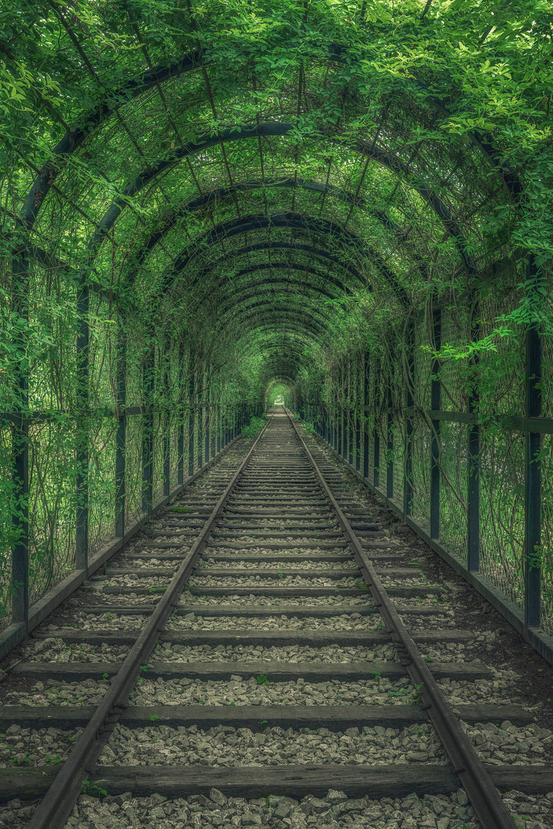 Grønn Tunnel