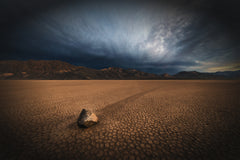 Wall mural Racing Across the Desert – fototapet med unikt motiv som skapar en inspirerande fondvägg