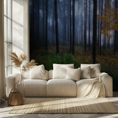 Misty Autumn Forest
