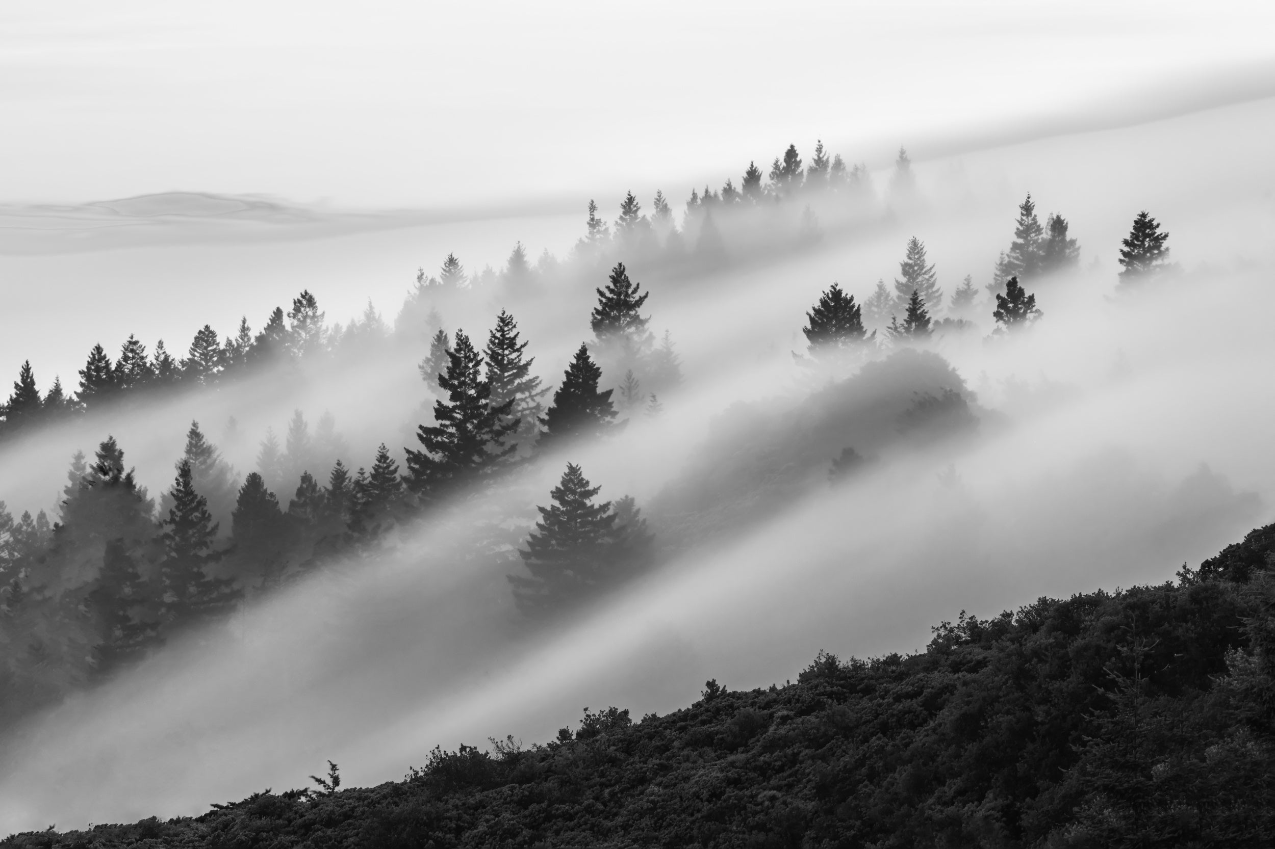 Flowing Fog