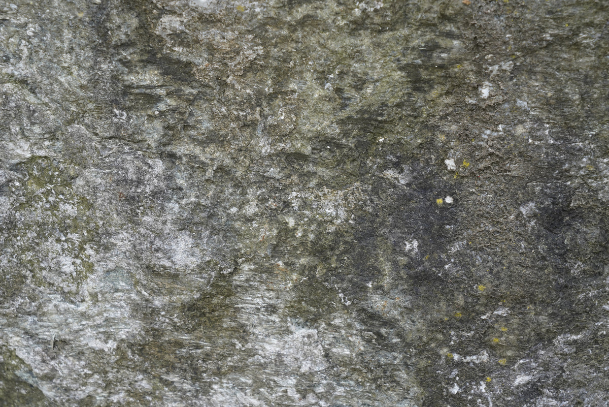 Tex Surface S34