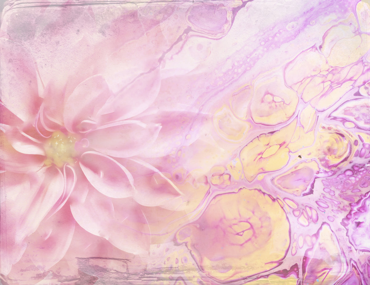 Ombre24flower