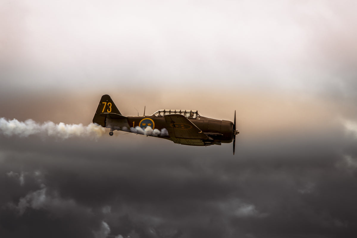 Flyshow Roskilde