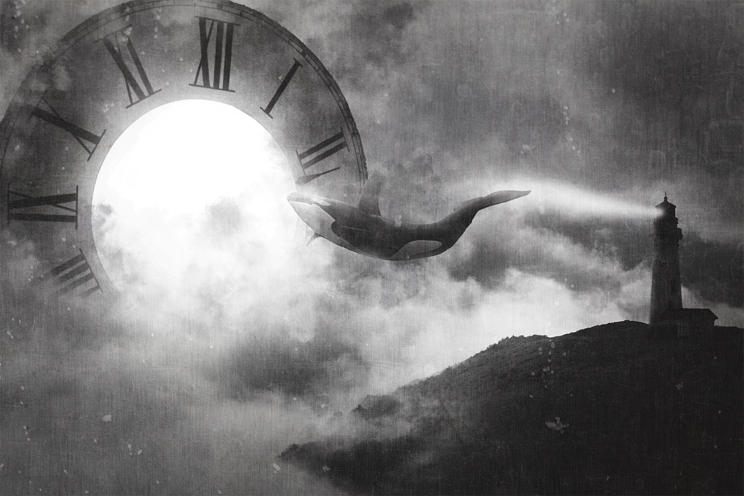 Time Zone