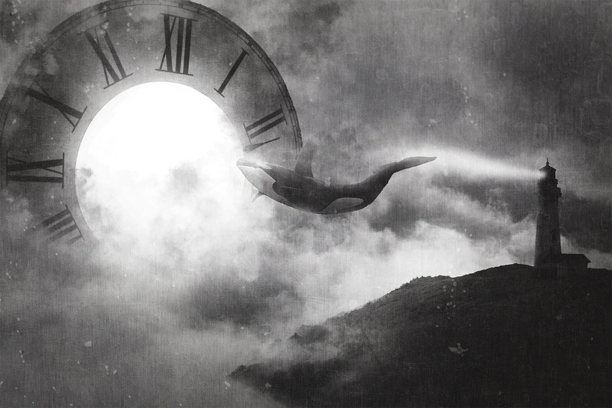 Time Zone