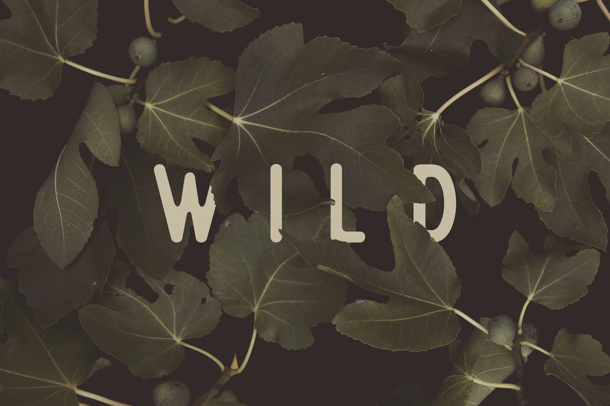 Wild nr. 1