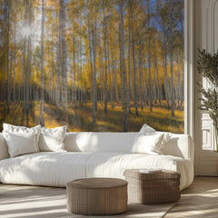 Autumn Sunlit Birch Forest