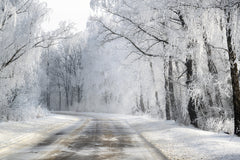Wall mural Winter road – fototapet med unikt motiv som skapar en inspirerande fondvägg