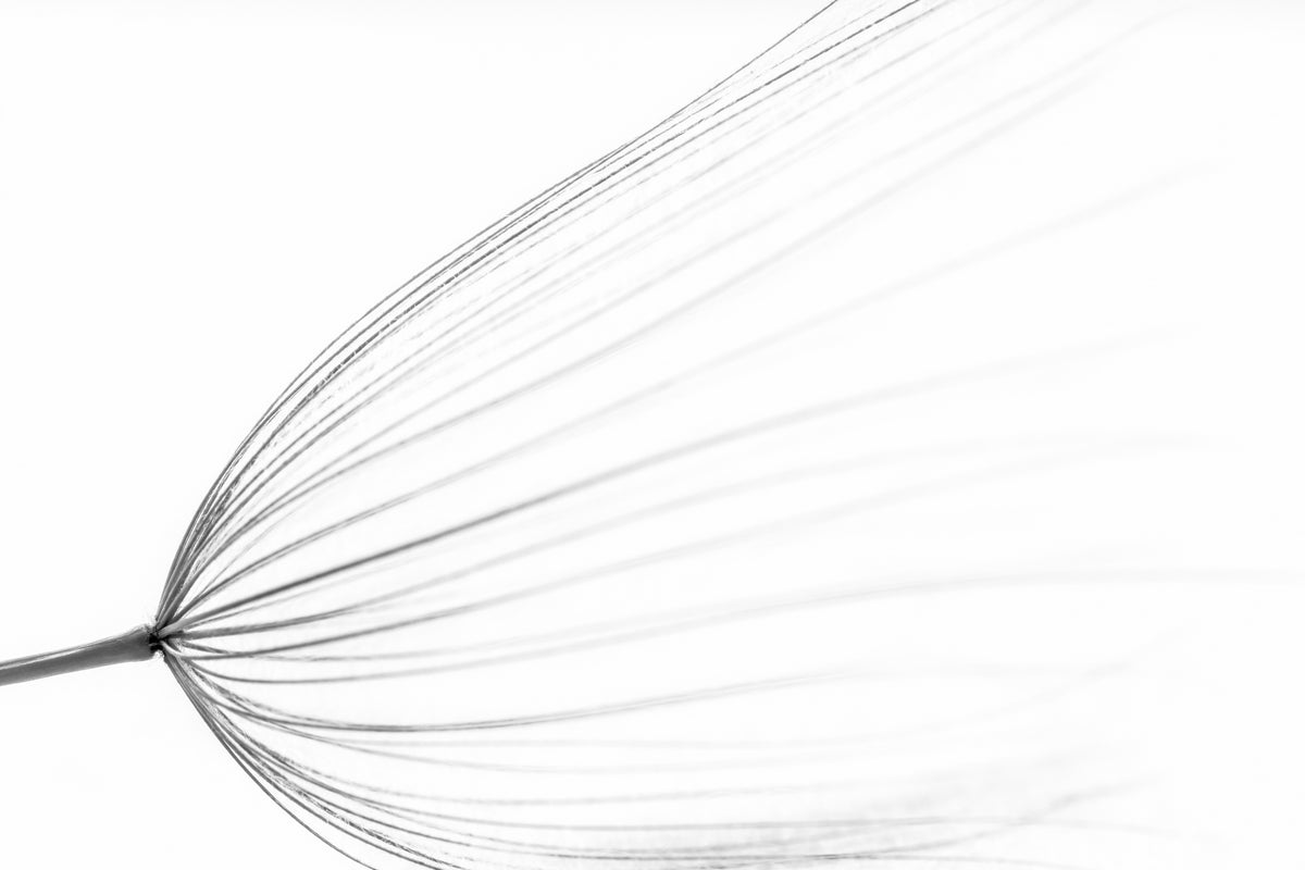 Den store minimalen