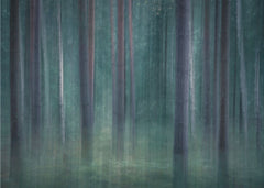 Mystic Forest Blur