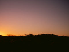 Wall mural Dune Grass Sunset Horizontal – fototapet med unikt motiv som skapar en inspirerande fondvägg