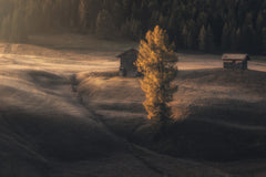 Wall mural Relention – fototapet med unikt motiv som skapar en inspirerande fondvägg