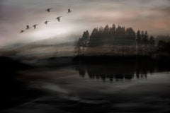 Wall mural Morning blush – fototapet med unikt motiv som skapar en inspirerande fondvägg