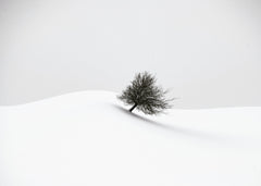 Wall mural white winter – fototapet med unikt motiv som skapar en inspirerande fondvägg