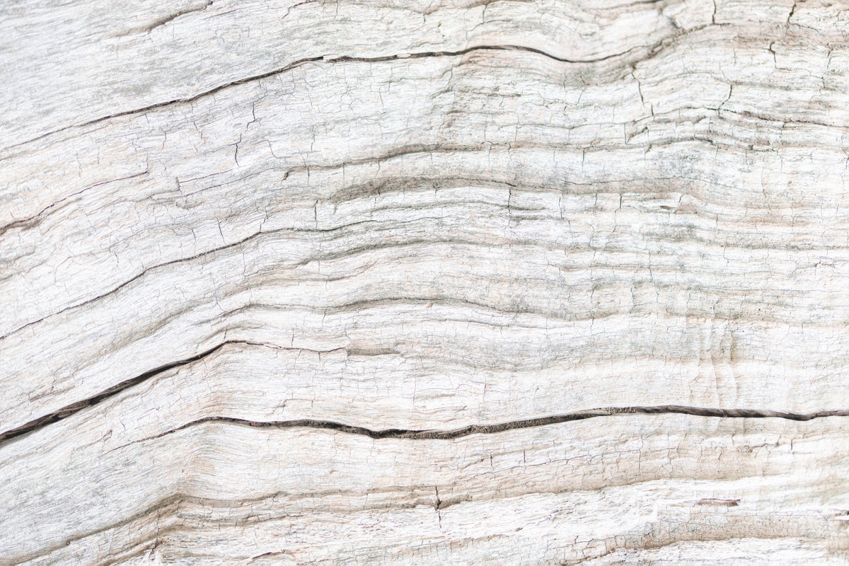 Texture 8