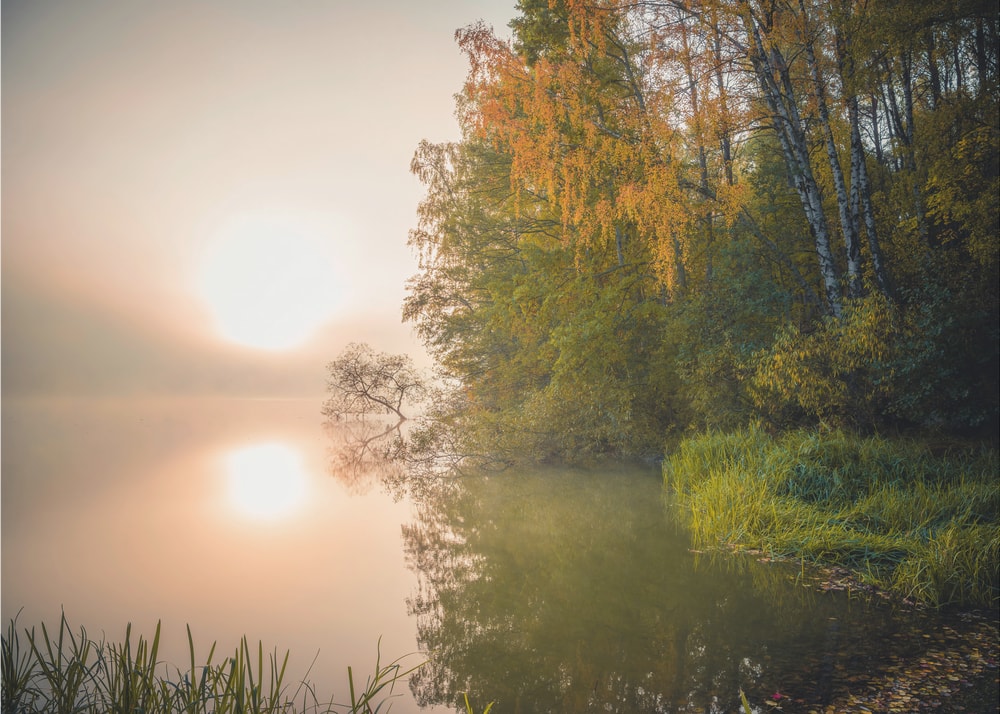 Golden Lake Sunrise