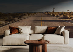 Open Desert Road