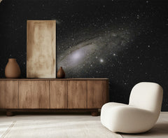 Andromeda Galaxy Stars