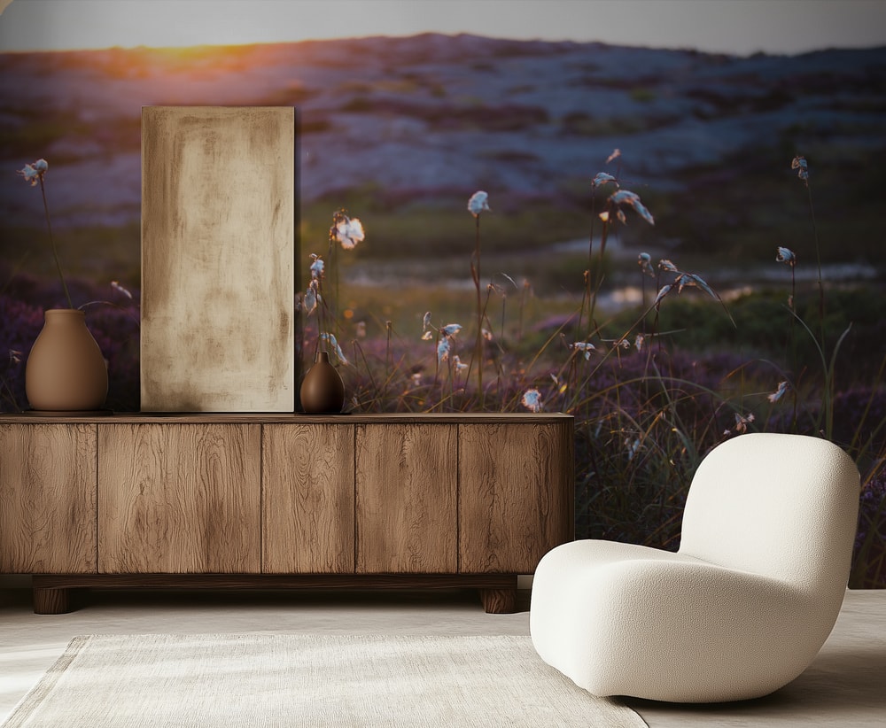 Cotton Grass Sunset Glow
