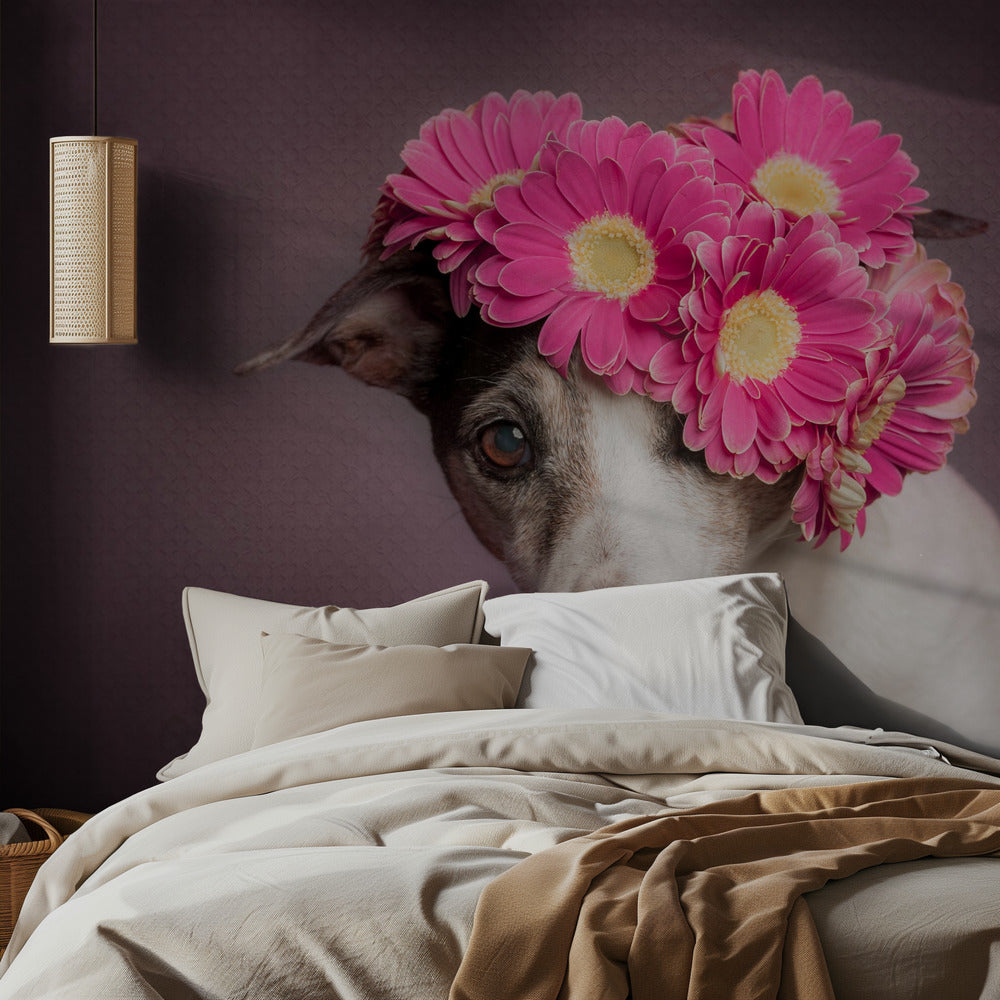 Mrs. Spring