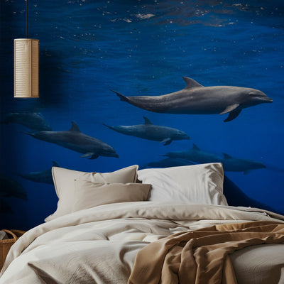 Dolphins rumsbild 4