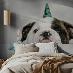 Barnrum A Little Birthday – kvalitetsprodukt för ett vackrare och mer hållbart hem