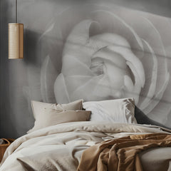 Soft White Petals