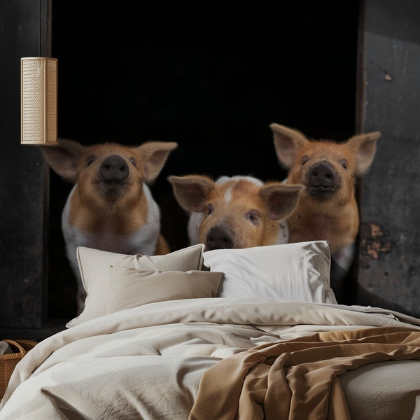 3 - Piglets Photo Wallpaper with curious little piglets miljöbild 2