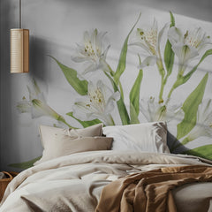 Alstroemeria