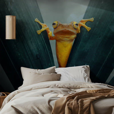 Gold Frog rumsbild 2