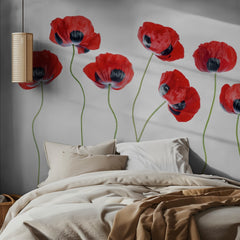 Ladybird Poppies
