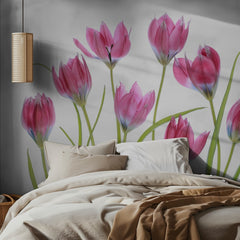 Tulip blush