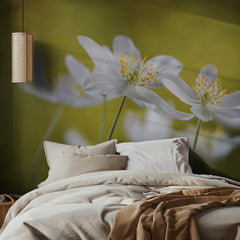 Wood Anemones