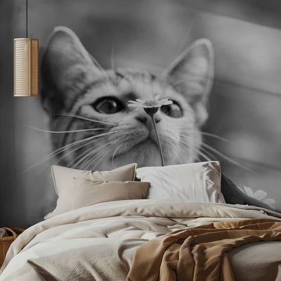 Curious rumsbild 2