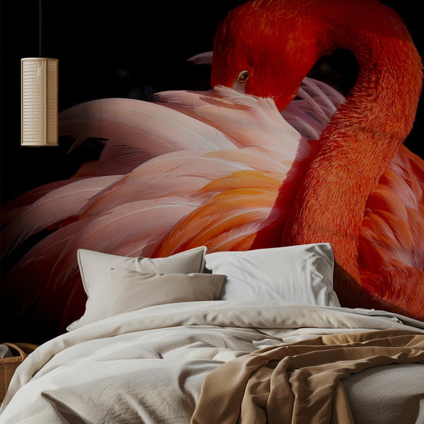 flamingo miljöbild 2