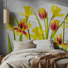 Cheerful Spring Flowers
