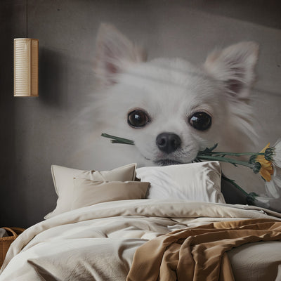 Chihuahua with flowers rumsbild 2