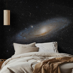 Andromeda Spiral Galaxy