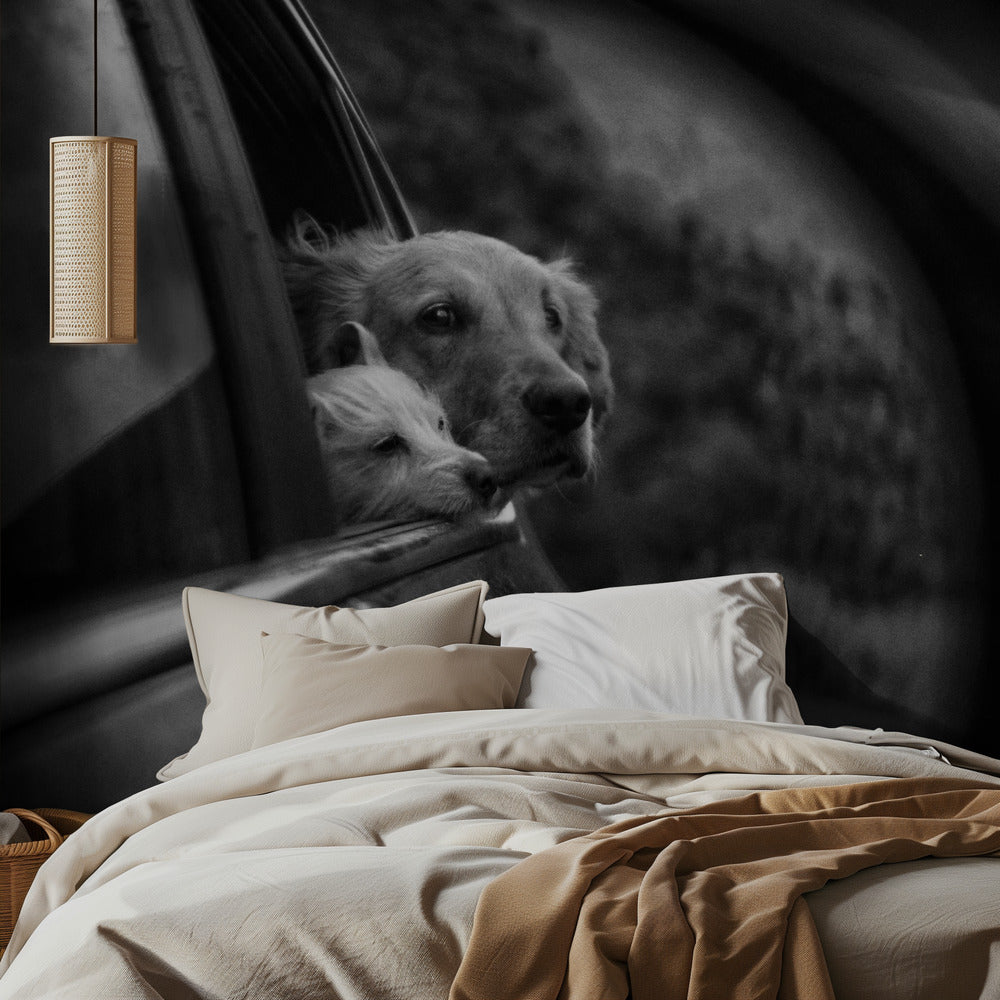 Roadtrip