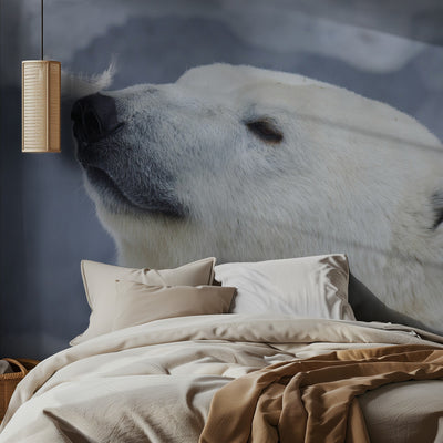 Polar bear portrait rumsbild 2