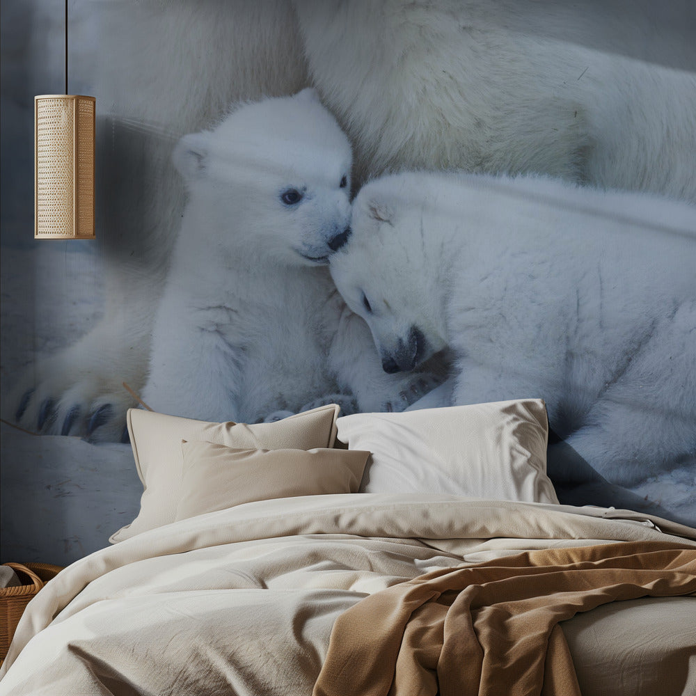 Polar bear cub