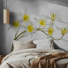 Tulipa Tarda