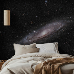 Andromeda Galaxy Stars