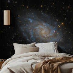 Luminous Spiral Galaxy