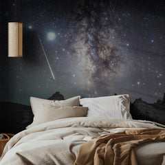 Milky Way Shooting Star