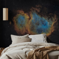 Cosmic Heart Nebula