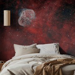 Cosmic Bubble Nebula