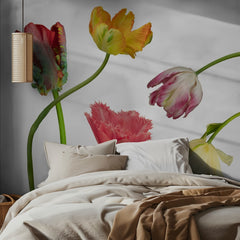 Unique Colorful Tulips